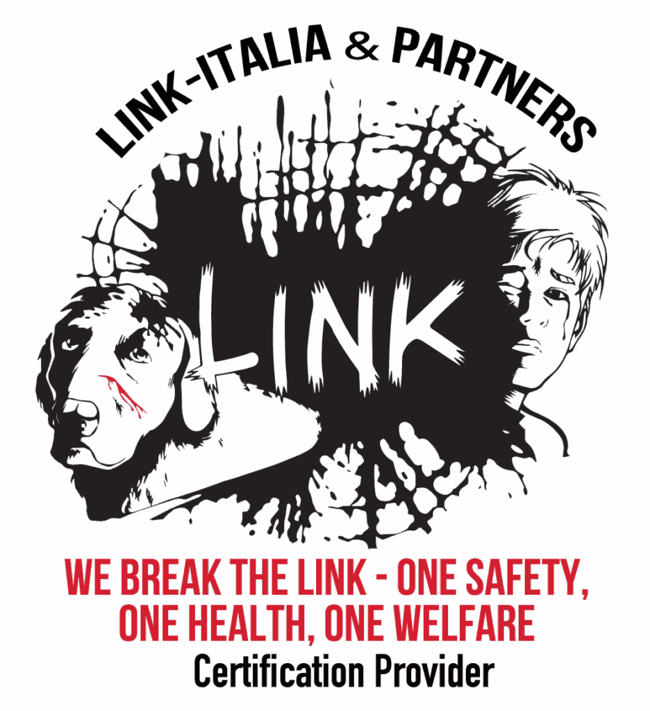 link-italia-partners-official-ok