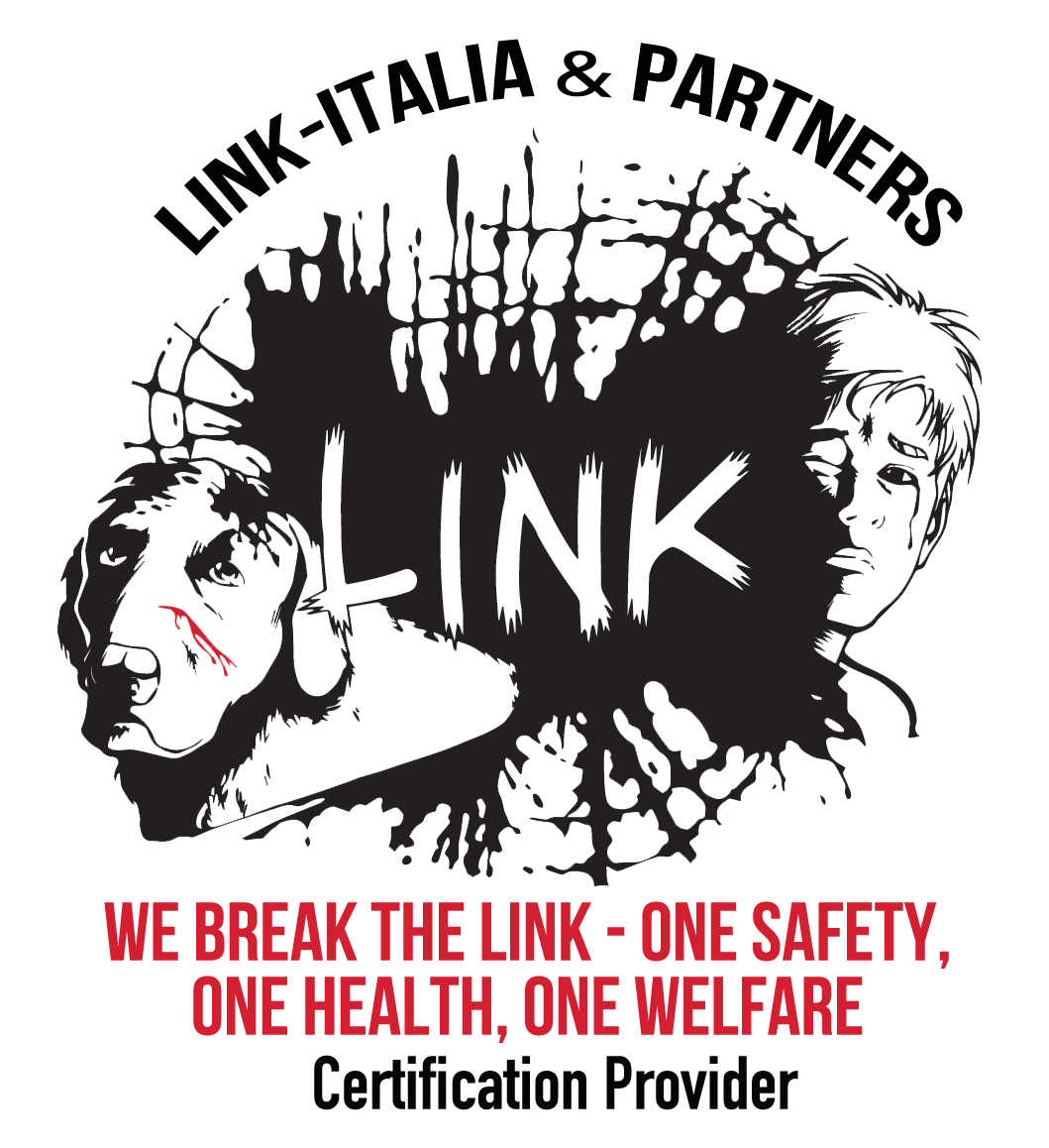 link-italia-partners-official-ok