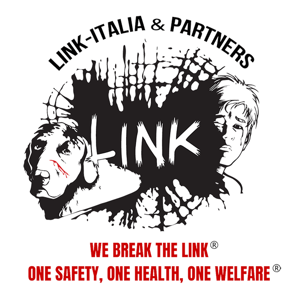 Link-Italia Partners